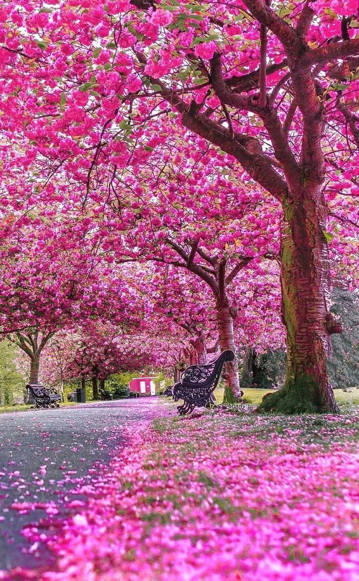 Mosaic Bench Studio workshop space where corporate flower arrangements are designed and prepared for business delivery